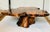 Gorgeous 1960 Tedeood Slab Stump Root Live Edge Coffee Table For Sale - Image 14 of 17
