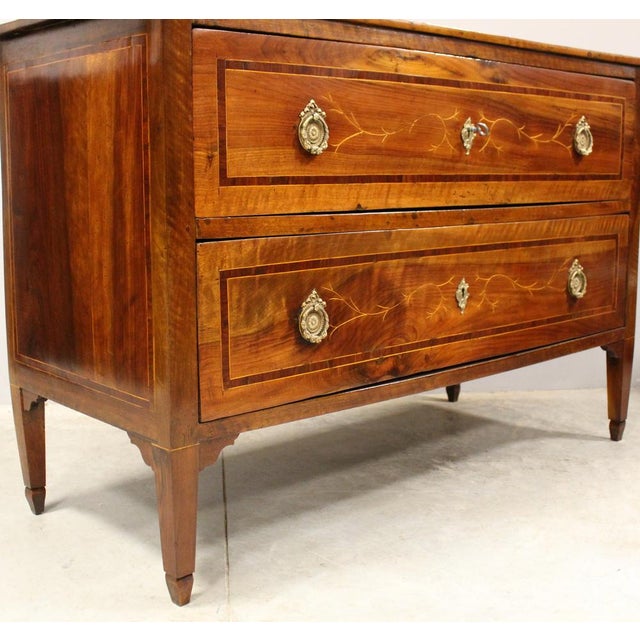 18th Century Italian Louis XVI Walnut Chest of Drawers For Sale - Image 12 of 17