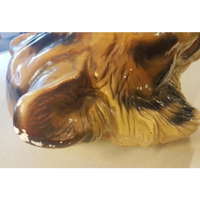 Gothic Style Tiger Head Mount Wall Hanging, 1930s For Sale - Image 11 of 15