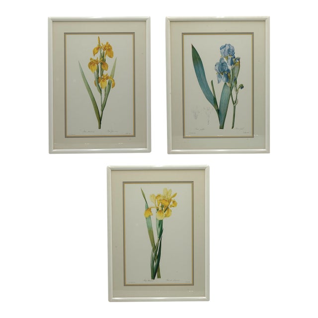 Set of 3 Floral Engraving Prints For Sale