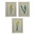 Set of 3 Floral Engraving Prints For Sale