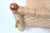 Michael van Beuren Bauhaus Teak and Raffia Lounge Chair, circa 1940 For Sale - Image 12 of 13