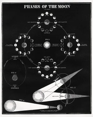 Vintage Phases of the Moon Vintage Astronomy Print - 16" X 20"