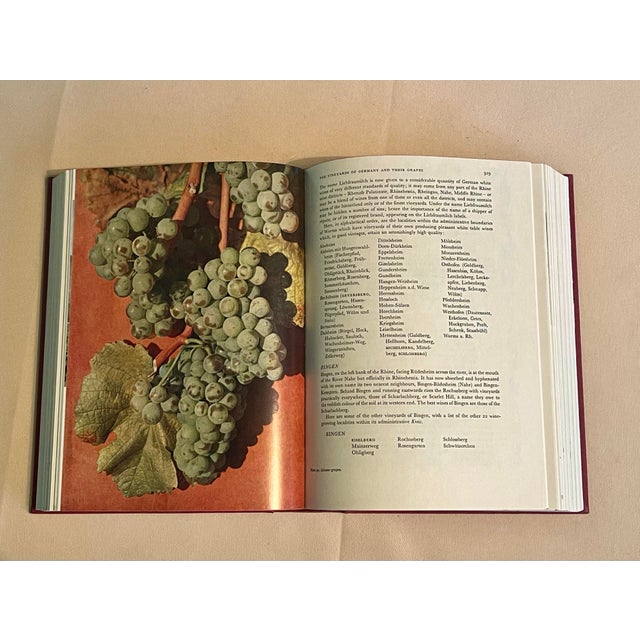 Paper “Wines of the World” Culinary Hardcover Book & Slipcover For Sale - Image 7 of 12