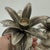 1980s Pair of Silver Plated Metal Pineapple Candle Holders by Godinger For Sale - Image 15 of 18