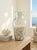 Contemporary 19-Inch Italian Blown Glass Baluster Vase With Bulk Coastal Seashell Collection For Sale - Image 3 of 6