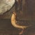 Attributable to Sinibaldo Scorza, Animals in Dark Background, Oil on Canvas For Sale - Image 6 of 12