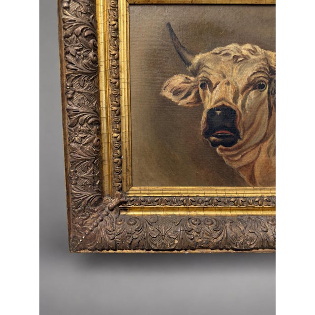 Mid 19th Century Attr Rosa Bonheur (French, 1822 - 1899) "Portrait of a Highland Bull" W Findley For Sale - Image 5 of 11