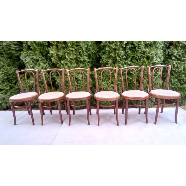 Mid-Century Modern Chairs in Beech Bentwood from Tatra, 1960s, Set of 6 For Sale - Image 3 of 15