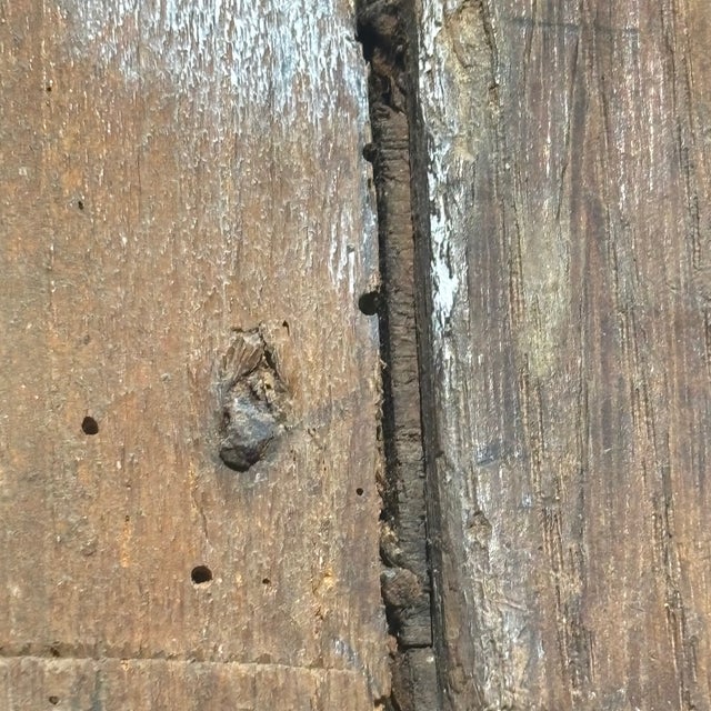 Female Face, 1600s, Oil Painting, Framed For Sale - Image 7 of 12