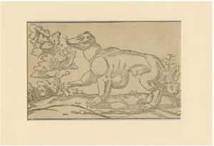 Woodcut of Exotic Animal from Sebastian Münster's Cosmographia, 1592, Paper