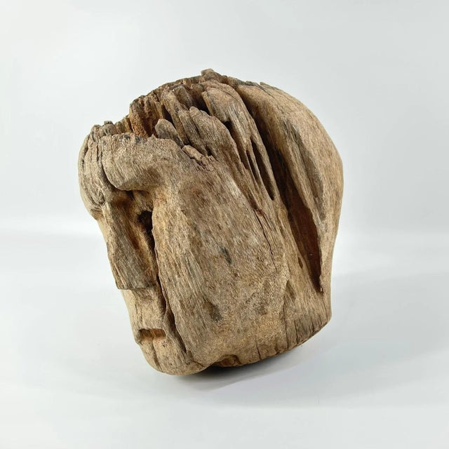 Early 20th Century Early 20th Century Bongo Memorial Head For Sale - Image 5 of 7