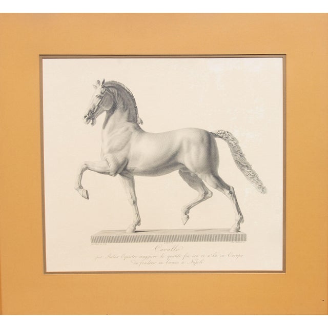 Realism Pair Early 19th Century Italian Engravings After Antonio Canova by Marchetti For Sale - Image 3 of 6