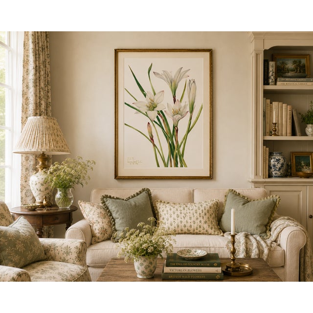 Atamasco Lily, Vintage Botanical Art Print Reproduction by Mary Vaux Walcott, 16" X 24" For Sale - Image 4 of 10