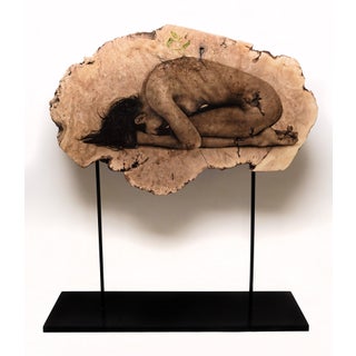 Rebirth by Oda & King | Oil on maple burl depicting a curled figure on wood. For Sale