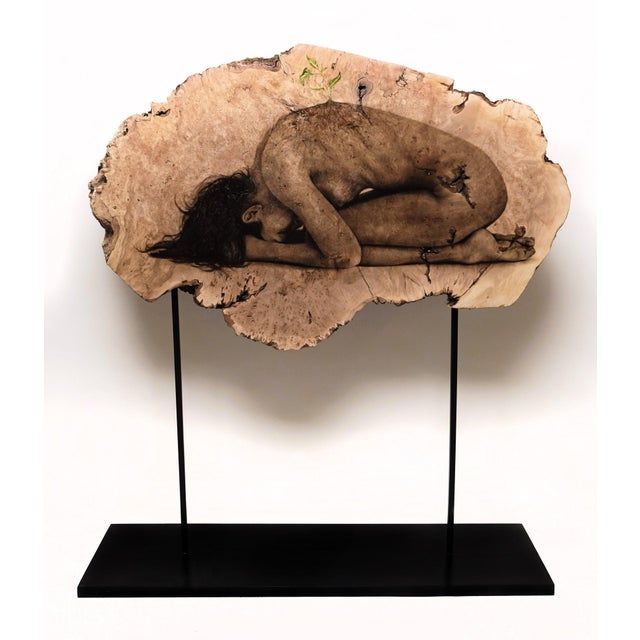 Rebirth by Oda & King | Oil on maple burl depicting a curled figure on wood. For Sale