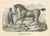 Mecklenburger Horse, 1827, Paper For Sale - Image 3 of 6