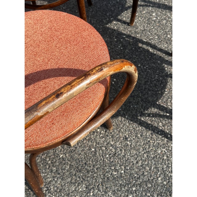 1950s Radomsko Cane Back Bentwood Dining Arm Chairs Set of Four For Sale - Image 9 of 12