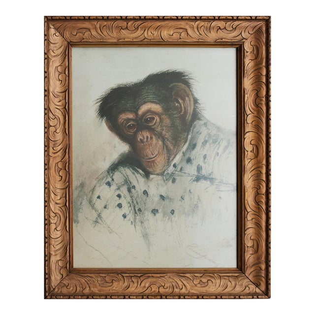After Edward Lear "Portrait of Chimpanzee", Large Reproduction Print in Antique Frame For Sale
