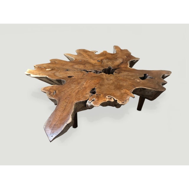 Andrianna Shamaris Teak Wood Organic Root Coffee Table For Sale - Image 4 of 6