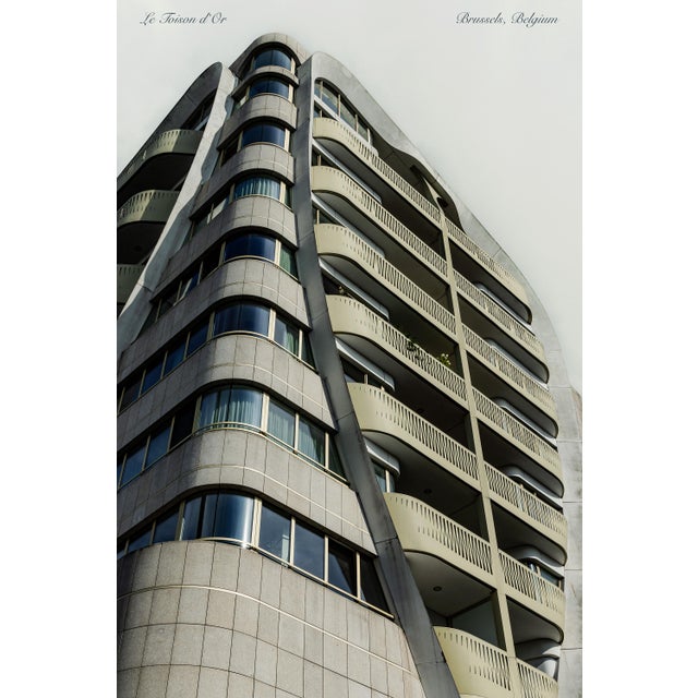 Guy Sargent, The Golden Fleece, Archival Pigment Print For Sale - Image 6 of 6