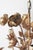 Hollywood Regency Golden 5-Light Rose Chandelier, 1960 For Sale - Image 6 of 16