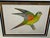 Realism Antique Color Woodblock Prints From w.t. Greene’s “Parrots in Captivity” with Frame Matte and Validation From the Trowbridge Gallery - Set of 2 For Sale - Image 3 of 9