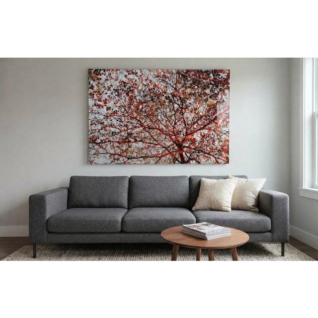 This is a vintage modern large scale photo-lab on acrylic wall art of (Maple-Leaves-Autumn-Nature) autumn foliage. This...