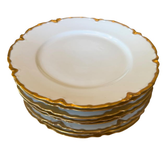 Antique Haviland Limoges European White & Gold Porcelain Dinnerware Set – Habsburg Austria & Racine Bavaria – - 43 pcs For Sale - Image 12 of 17
