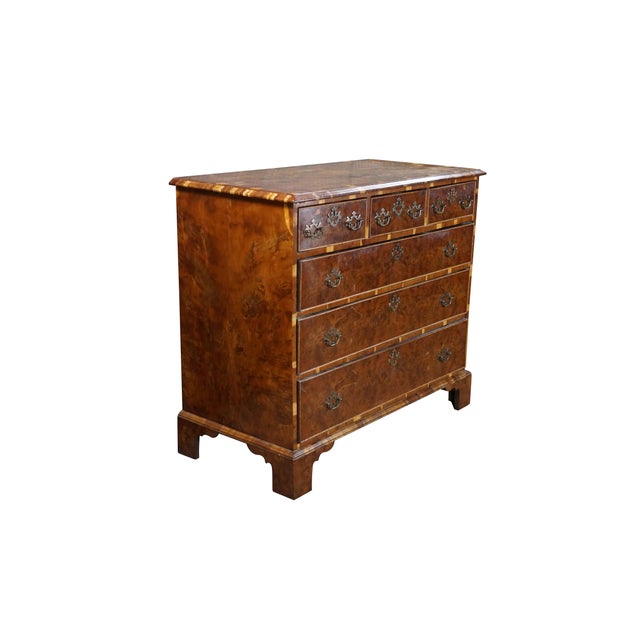English Antique English George II Style Oyster Burl Yew Bachelors Chest Dresser Commode For Sale - Image 3 of 18