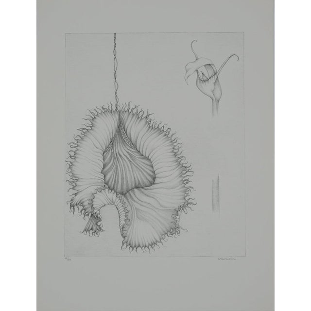 Gochka Charewicz, La fleur éclose, Lithograph For Sale - Image 11 of 11