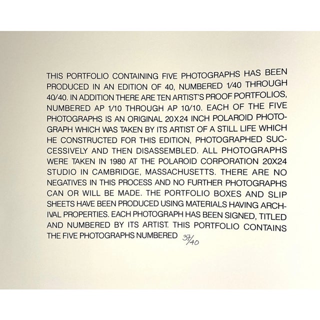 Robert Fichter Large Format Polaroid Photograph Still Life Color Photo Dye Print Robert Fichter, 1980 For Sale - Image 4 of 13