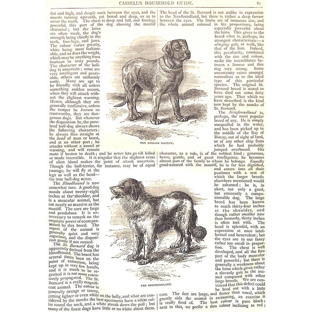 "Cassell's Household Guide: A Complete Encyclopedia of Domestic and Social Economy" 1887 For Sale - Image 11 of 12