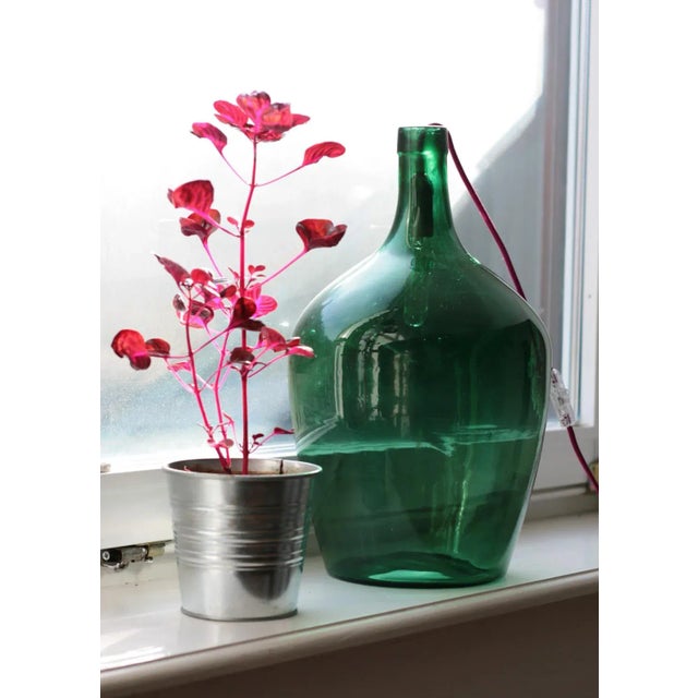 Vintage Demijohn Lamp Light, 1950s For Sale - Image 9 of 10