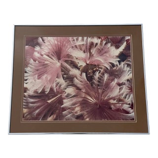 David Waselle “Fan Dancers” Signed Artist Proof Underwater Photograph For Sale