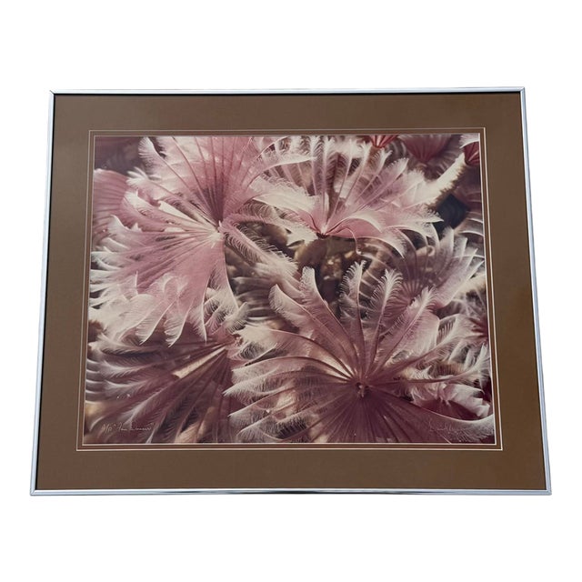 David Waselle “Fan Dancers” Signed Artist Proof Underwater Photograph For Sale