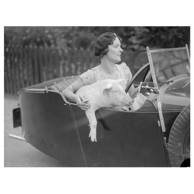 '1st Class Travel' Unframed Archival Pigment Print For Sale