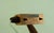 Wall Lamp by Hans-Agne Jakobsson for Hans-Agne Jakobsson Ab Markaryd, 1950s For Sale - Image 13 of 14