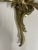 Vintage Gilt Bronze Rococò Style Three-Arm Wall Sconces— Set of Eight For Sale - Image 4 of 8