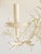 Coral Motif Five Lights Chandelier For Sale - Image 9 of 12
