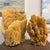 Pair of Incredible Natural Sea Sponge Specimens For Sale - Image 6 of 7