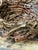 Vintage Rustic Brown Ceramic Twig Bowl For Sale - Image 9 of 13