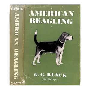 "American Beagling" 1949 Black, g.g.