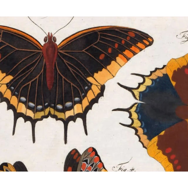 Printmaking Materials Vintage Victorian Butterfly Giclee Prints Set of 4 For Sale - Image 7 of 8