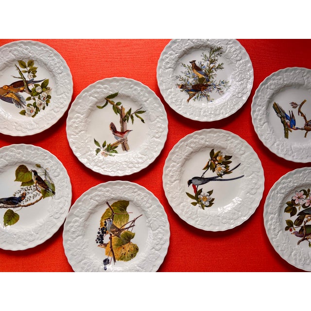 English 1930s Audubon Small Plates by Alfred Meakin - Set of 8 For Sale - Image 3 of 12