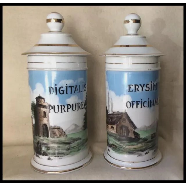 Ceramic Antique 19thC French Apothecary, Drug Store Jars, Hand Painted For Sale - Image 7 of 13