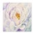 Atelier Aria Lumae Peony Symphony Aquarelle Fine Art Cotton Rag Panels Set of 3 For Sale - Image 14 of 18