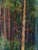 Realism Vintage Forest Landscape Oil Painting, Ukrainian Art, 1971 For Sale - Image 3 of 6