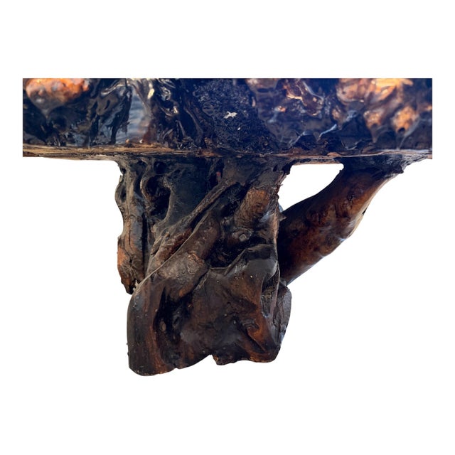 Wood 1970s Organic Burl Wood Live Edge Coffee Table With Sculptural Root Base For Sale - Image 7 of 8