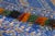 Textile Vintage Moroccan Berber Rug With Blue Diamond Design by Rug & Kilim, 1950-1959 For Sale - Image 7 of 9